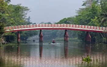 Bruecke in den Sundarbans