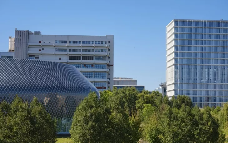 Feluke auf dem Nil bei Assuan - © manuela_kral - Fotolia