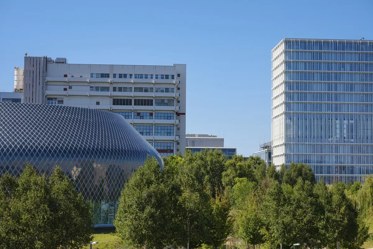 Feluke auf dem Nil bei Assuan - © manuela_kral - Fotolia