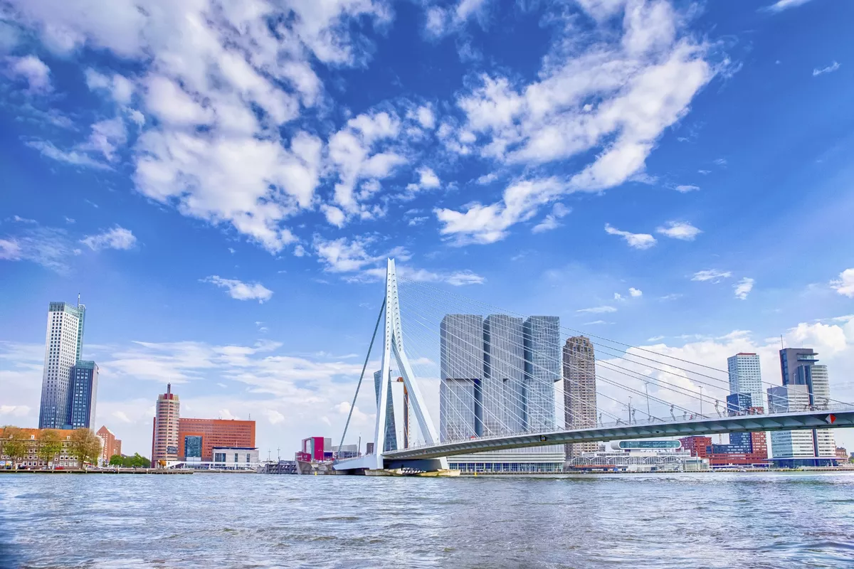 Erasmus-Brücke, Rotterdam - © Copyright (c) 2019 Dmitry Morgan/Shutterstock.  No use without permission.