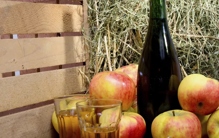 Abendstimmung im Amazonas-Gebiet - © ©JSoltys Photography - stock.adobe.com