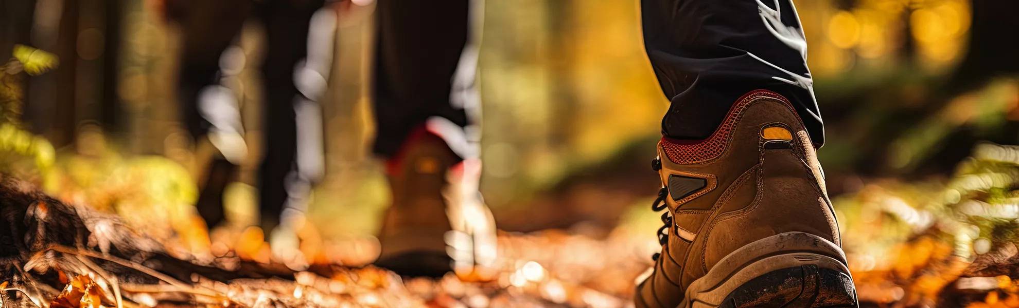 Wanderung im Herbstwald - © Stavros - stock.adobe.com