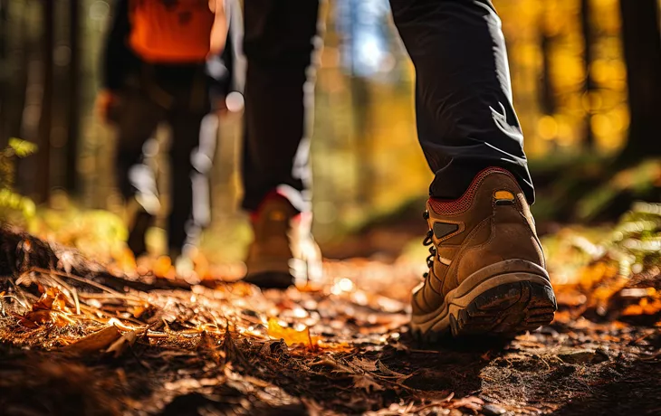 Wanderung im Herbstwald - © Stavros - stock.adobe.com