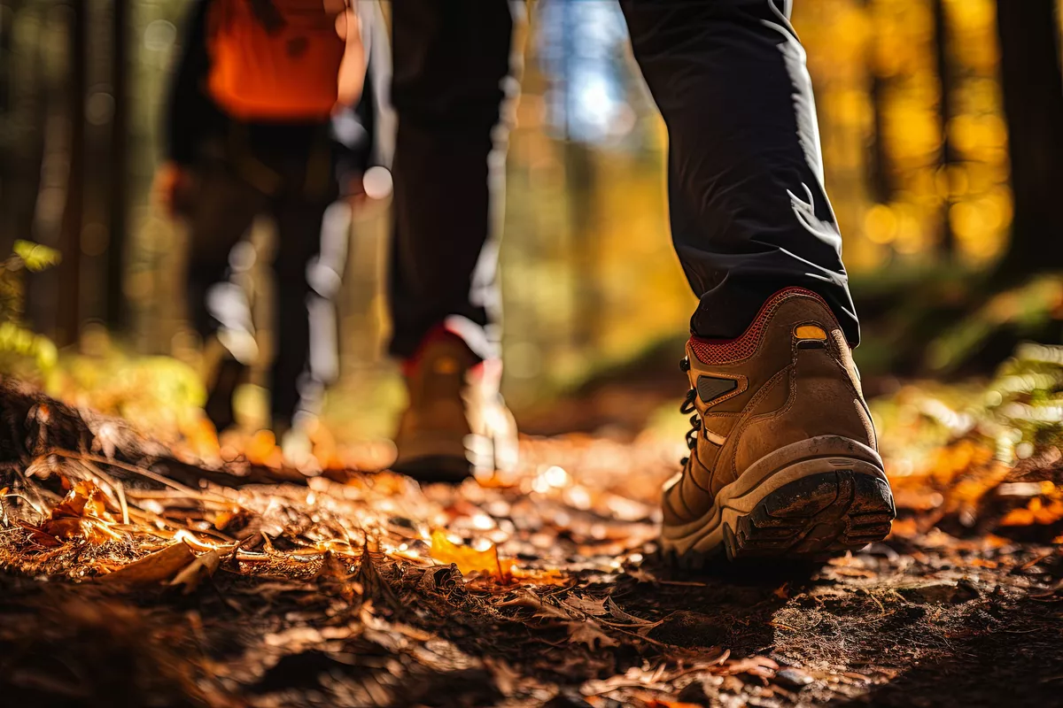 Wanderung im Herbstwald - © Stavros - stock.adobe.com