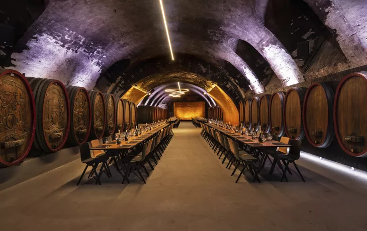 Unterwegs im Amazonas-Regenwald - © Mehdi Langanke