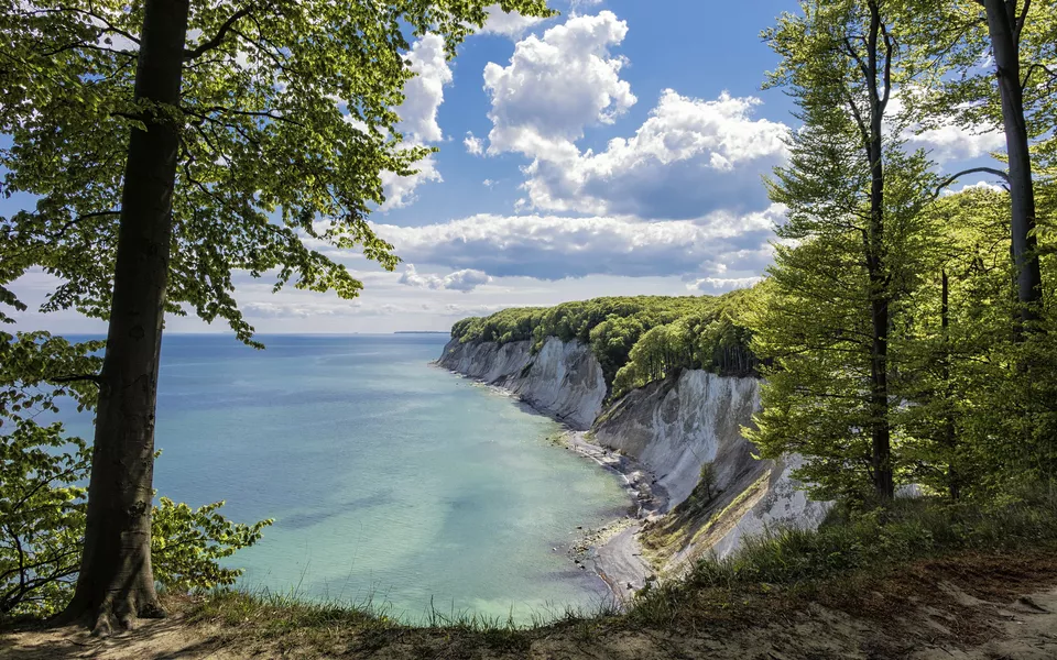 Kreidefelsen, Rügen - © Getty Images/iStockphoto