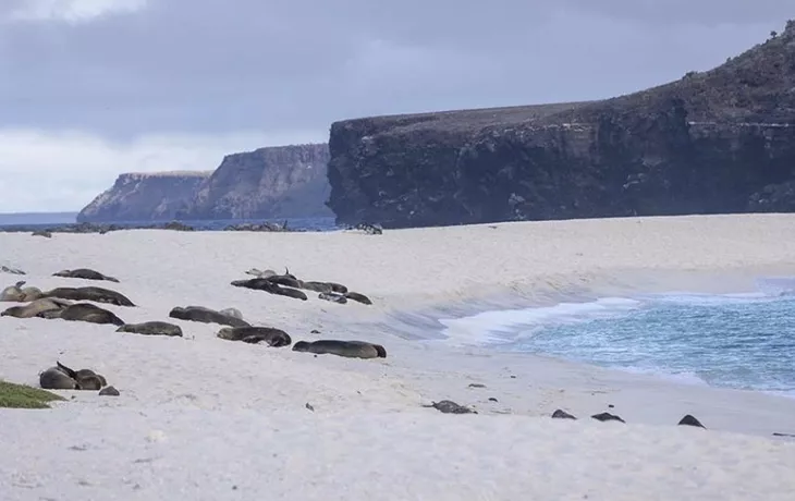 Galapagos