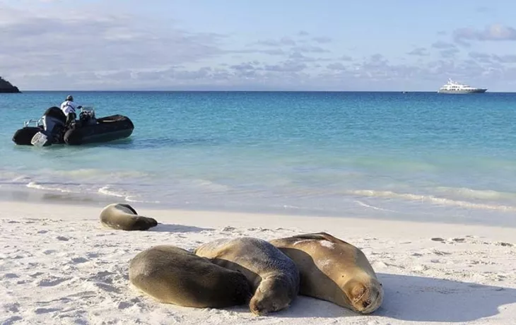 Galapagos