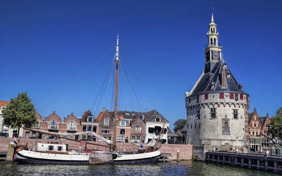 Hoorn