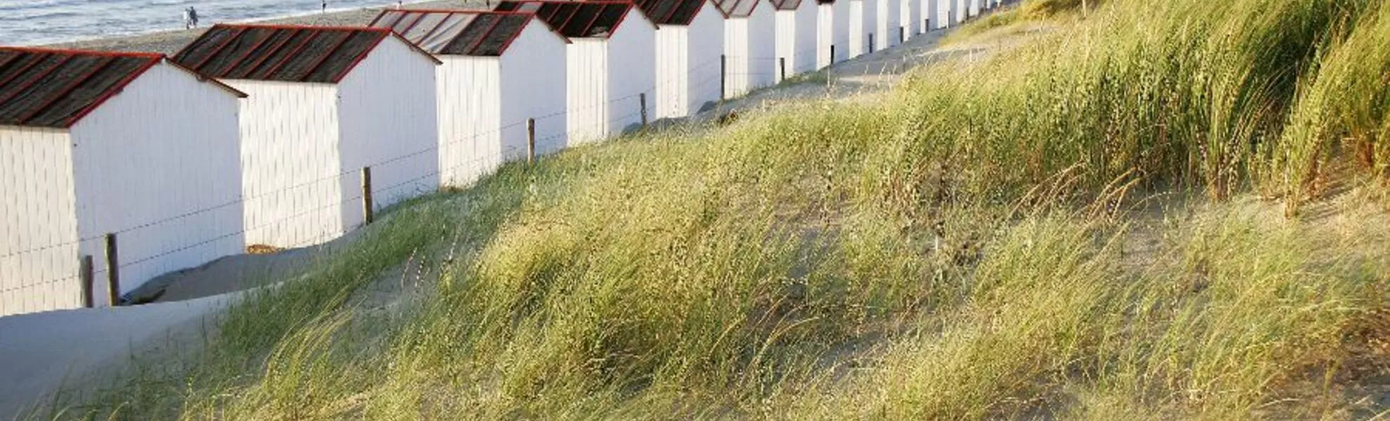 Strand auf Texel - © Stefan Ouwenbroek - Fotolia