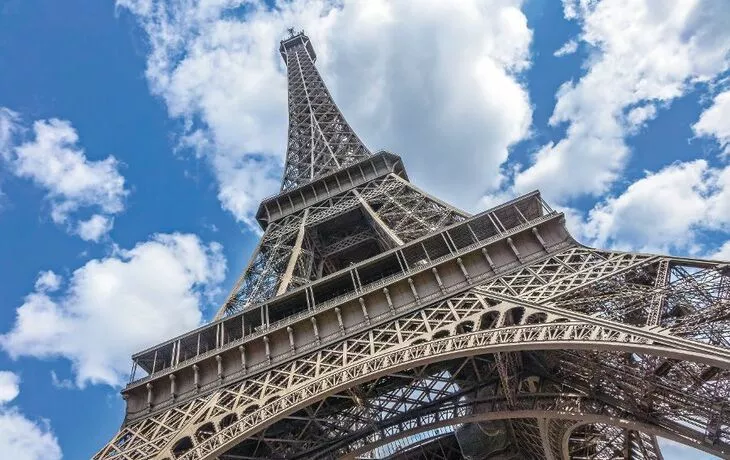 Wasserschwein / Capybara - © elnavegante - Fotolia