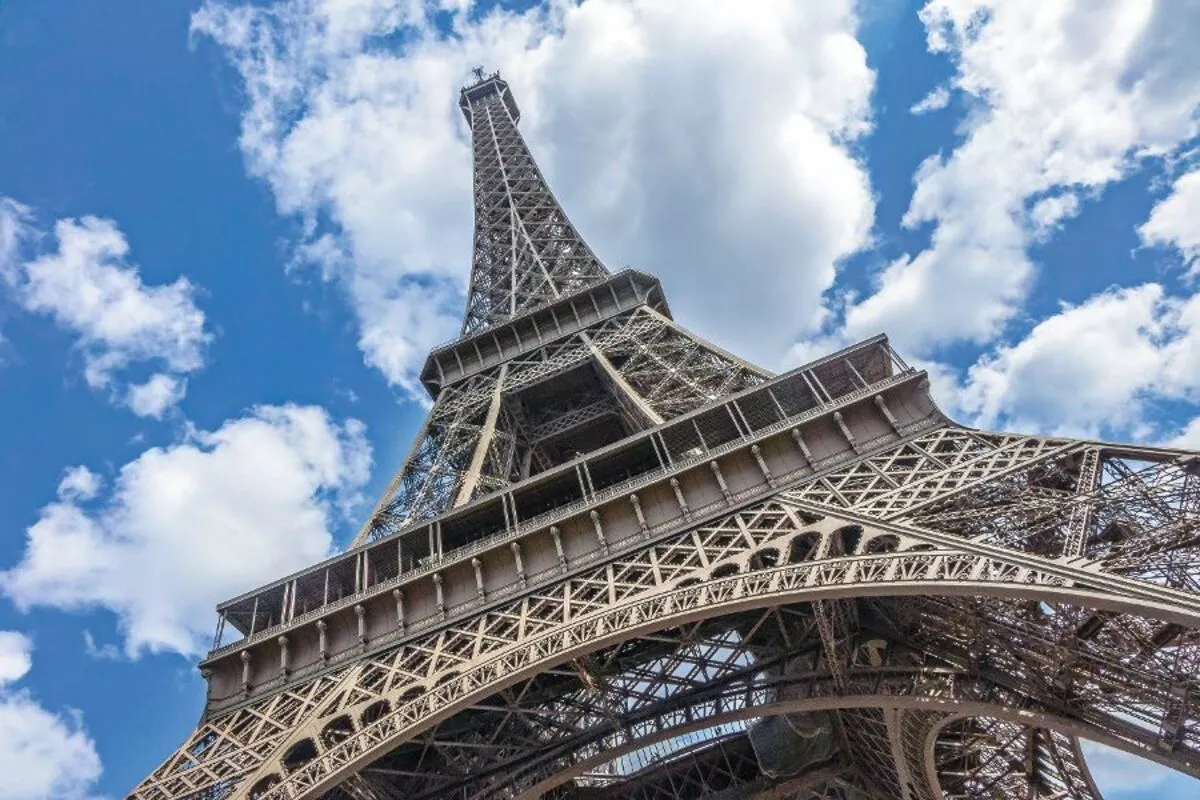 Wasserschwein / Capybara - © elnavegante - Fotolia