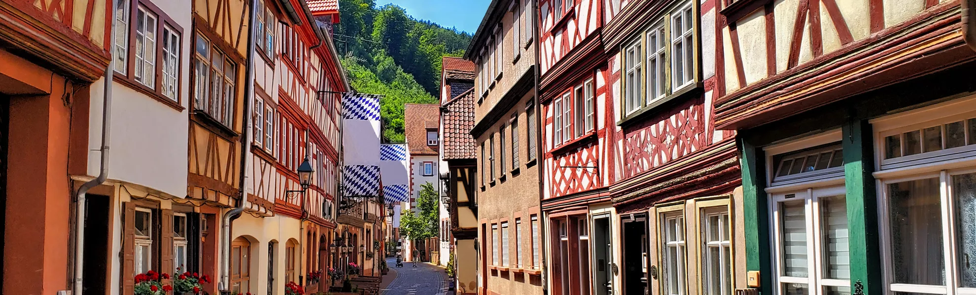 Miltenberg in Bayern - © Jenifoto - stock.adobe.com