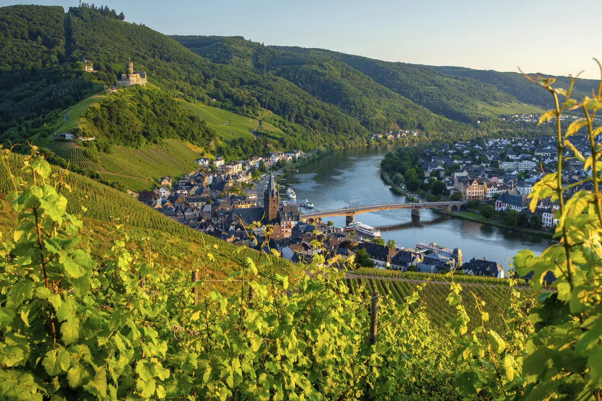 Burg Olymp Bernkastel