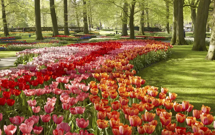 © shutterstock_144198607 - Keukenhof