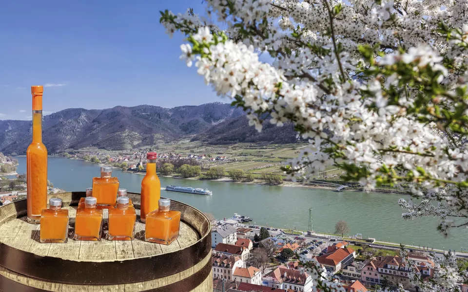 Marillenlikör, Wachau