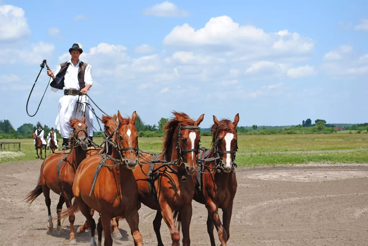 Traditionelle Reitvorführung, Puszta - © DH - Fotolia