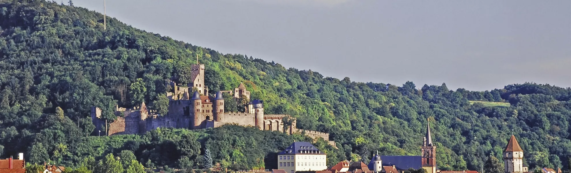 Burg Wertheim