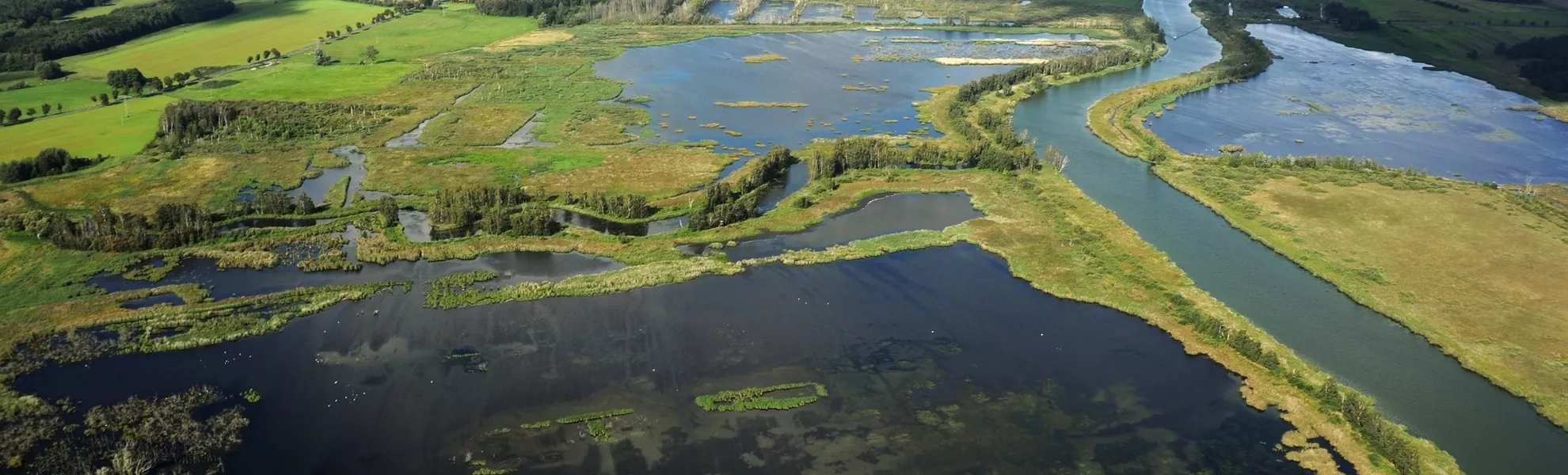 der Amazonas des Nordens: die Peene bei Anklam in Mecklenburg-Vorpommern - ©fotograupner - stock.adobe.com