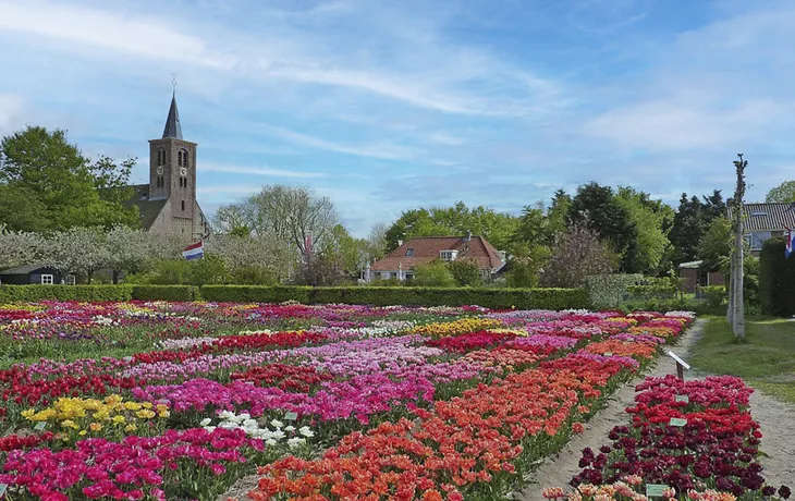 Fresh pineapple - © maicyber - Fotolia