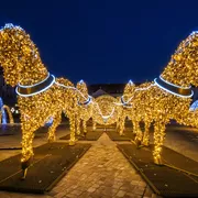 Magdeburger Lichterwelt