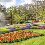 Keukenhof