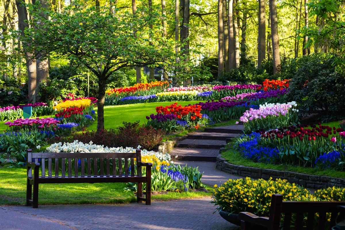 Tulpenblüte im Keukenhof - © rois010 - stock.adobe.com