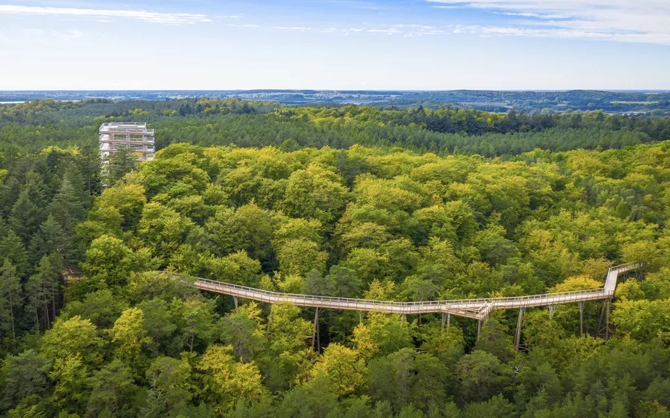 Baumwipfelpfad Usedom Turm