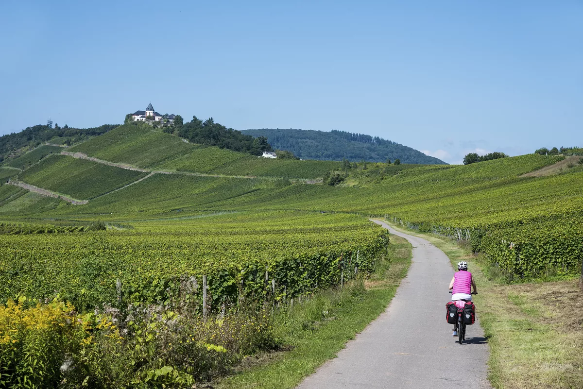 Moselradweg in den Weinbergen - © Udo Weber - stock.adobe.com