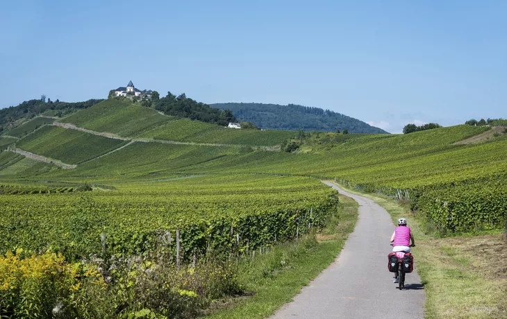 Moselradweg in den Weinbergen - © Udo Weber - stock.adobe.com