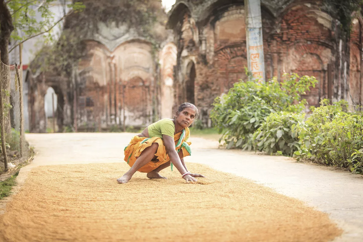 blühender Frühlingsgarten in Cornwall, Südengland - ©anjokan - stock.adobe.com