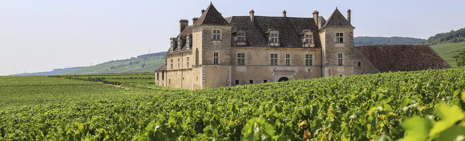 Weingut «Clos de Vougeot» - © blickwinkel2511 - stock.adobe.com