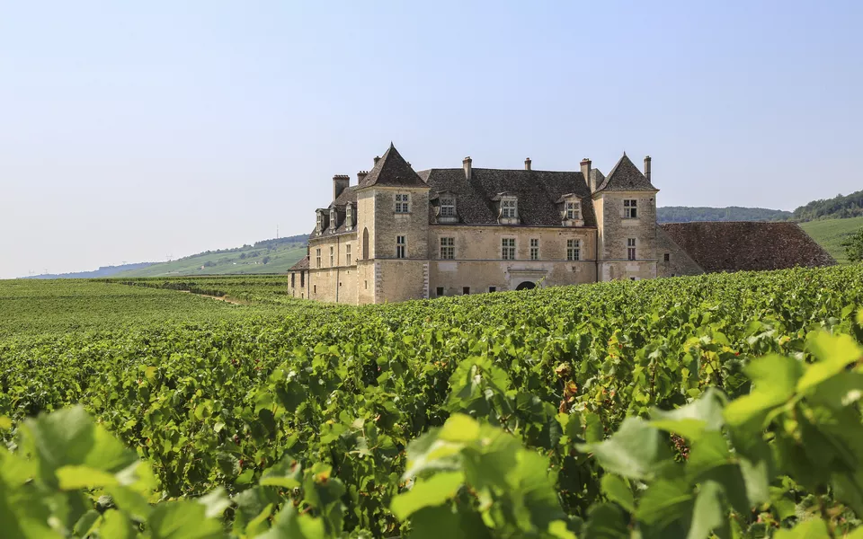 Schloss «Clos de Vougeot»