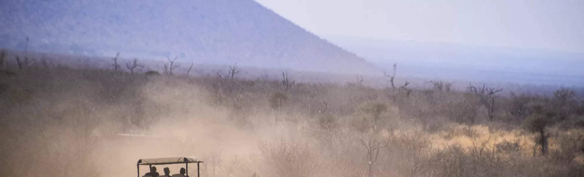 Safari im Madikwe-Wildreservat - © Eva Bazalka