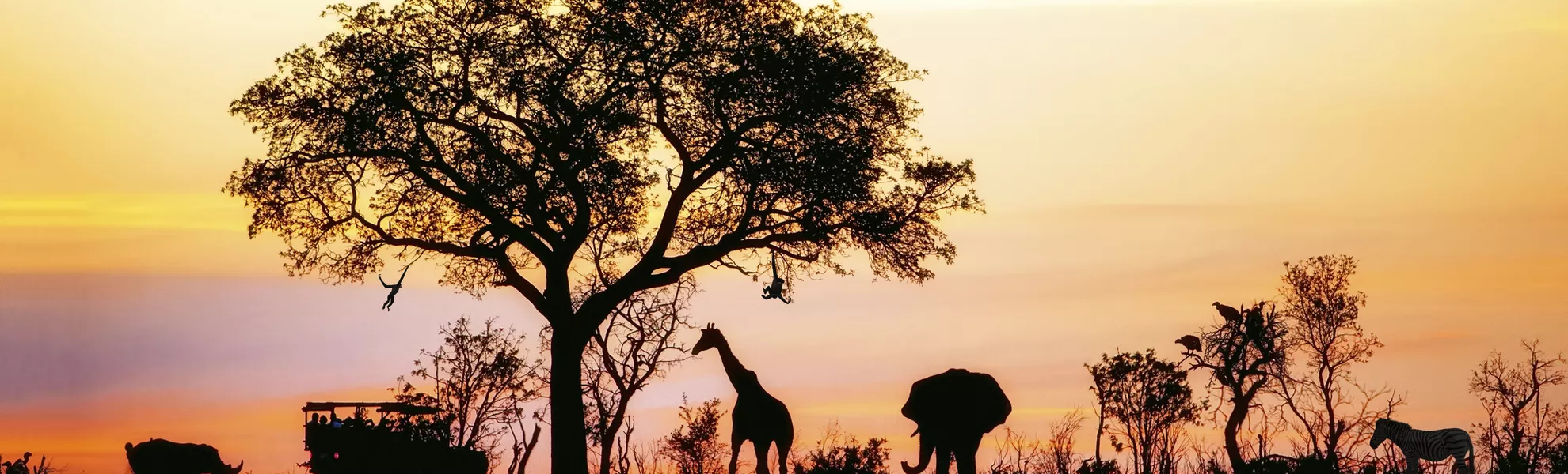 African Safari - © Getty Images/iStockphoto