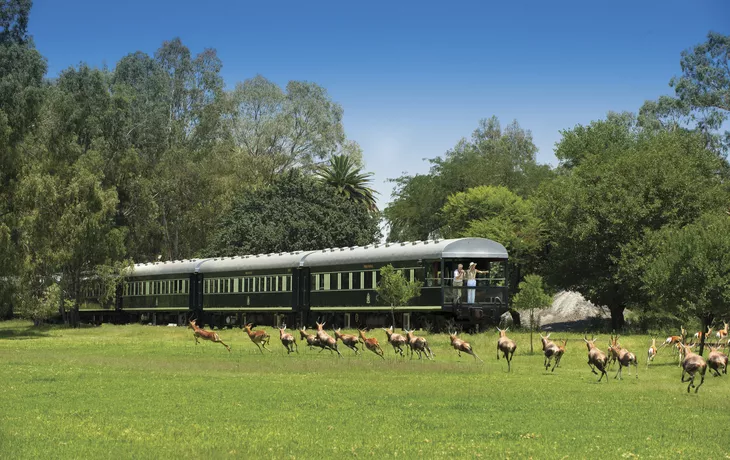 Safari auf Schienen - © Rovos Rail Tours