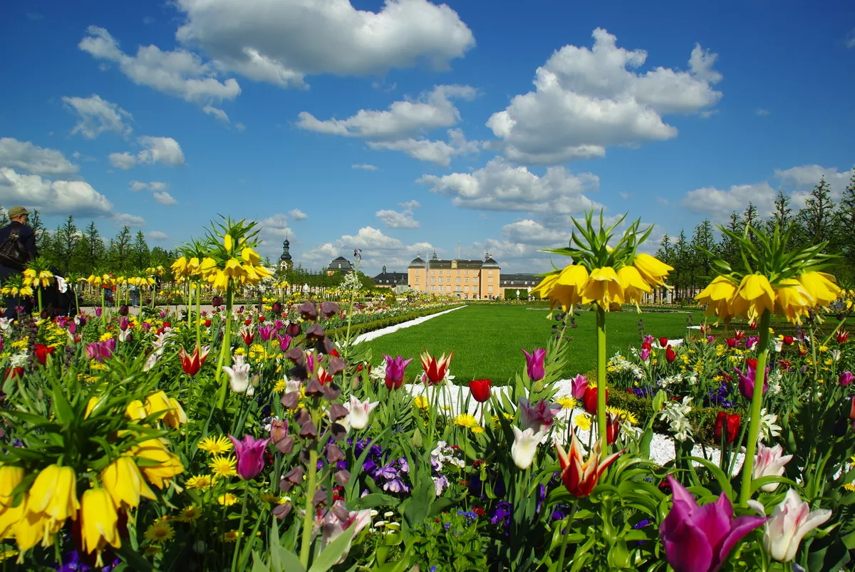 Schloss Schwetzingen - ©kbrera - stock.adobe.com