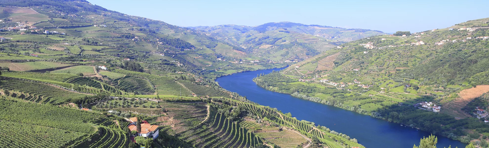 Weinberge im Dourotal - © Getty Images/iStockphoto