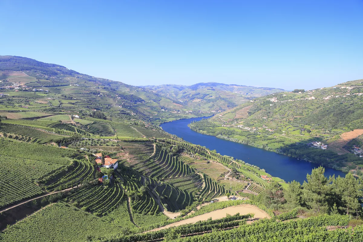 Weinberge im Dourotal - © Getty Images/iStockphoto