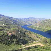 Weinberge im Dourotal