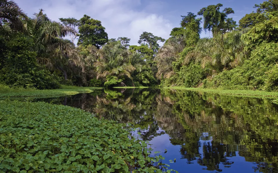 Amazonas - © pwollinga - Fotolia