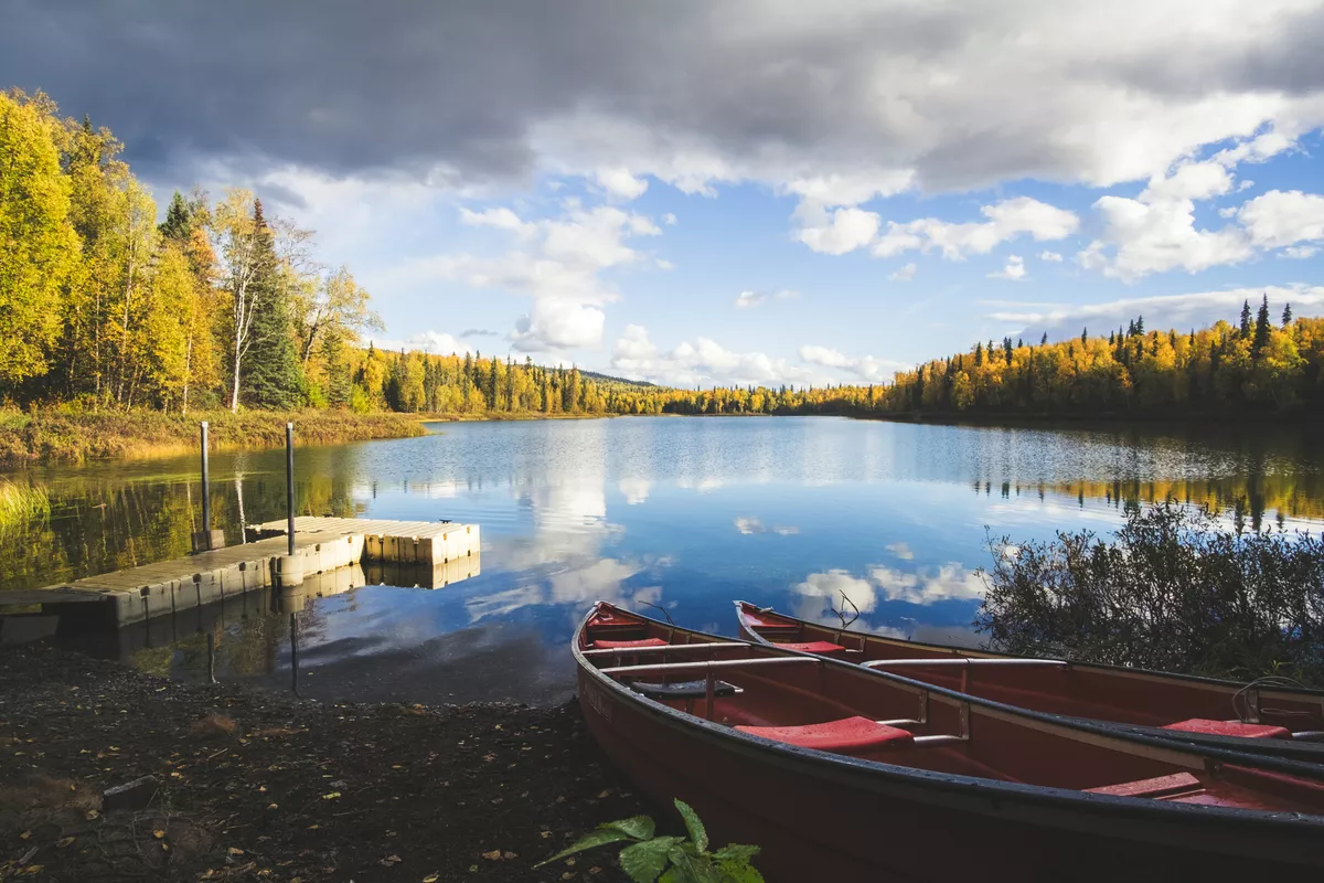 wildes Alaska - © David Pastyka - stock.adobe.com