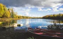 © David Pastyka - stock.adobe.com