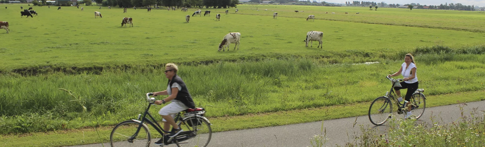 Velofahren in Südholland