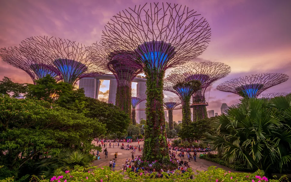 Gardens by the Bay in Singapur