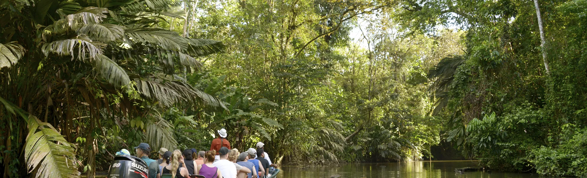 Tortuguero - ©                                                       
