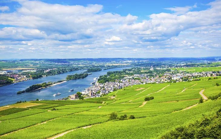 Der Rhein in seiner ganzen Pracht Edelweiss