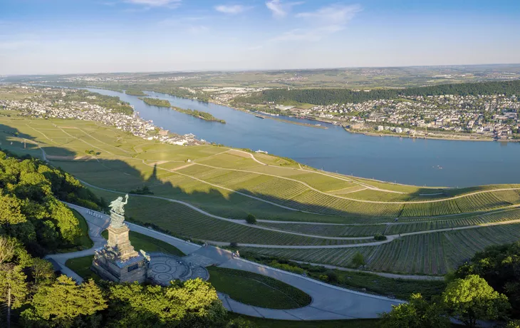 Pelzrobbe (Arctocephalus pusillus) - © Jan Schuler - Fotolia