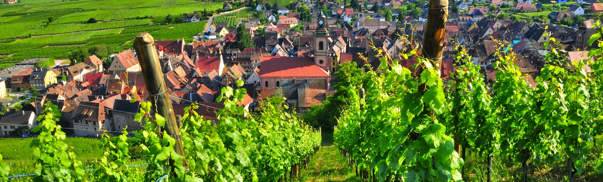 Malerisches Dorf Riquewihr im Elsass - ©PackShot - stock.adobe.com