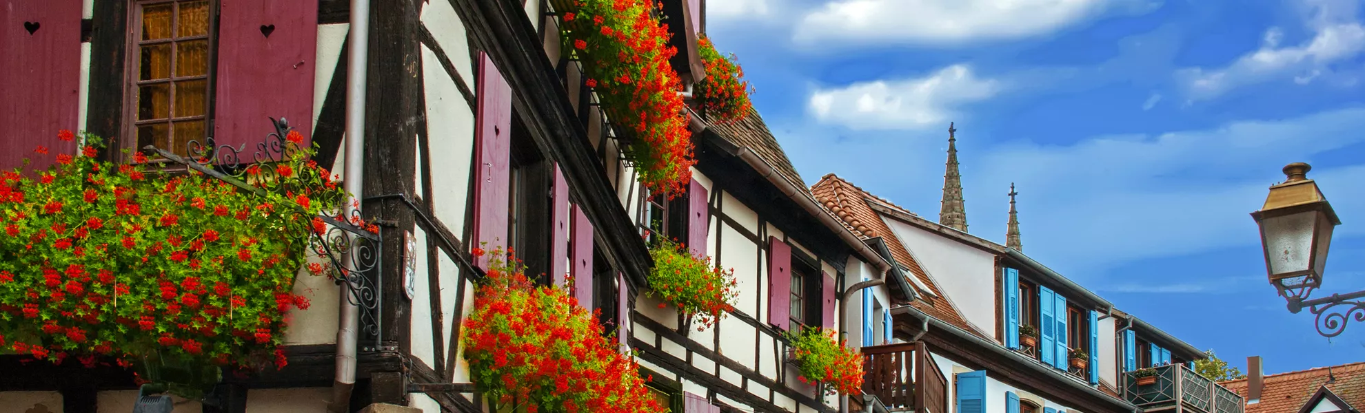 typische elsässische Fachwerkhäuser in Obernai, Frankreich - ©guitou60 - stock.adobe.com